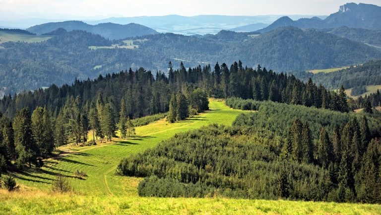 Letní dovolená Beskydy
