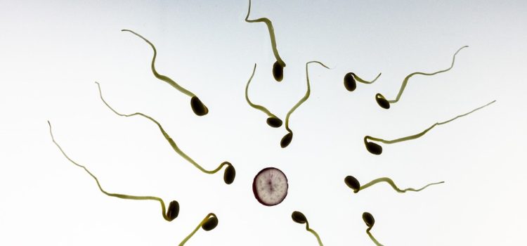 Barva spermií: co může znamenat?