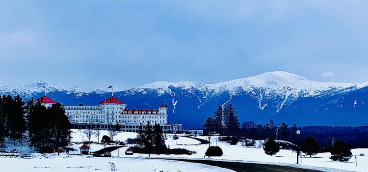 Ekonomika pohled MMF