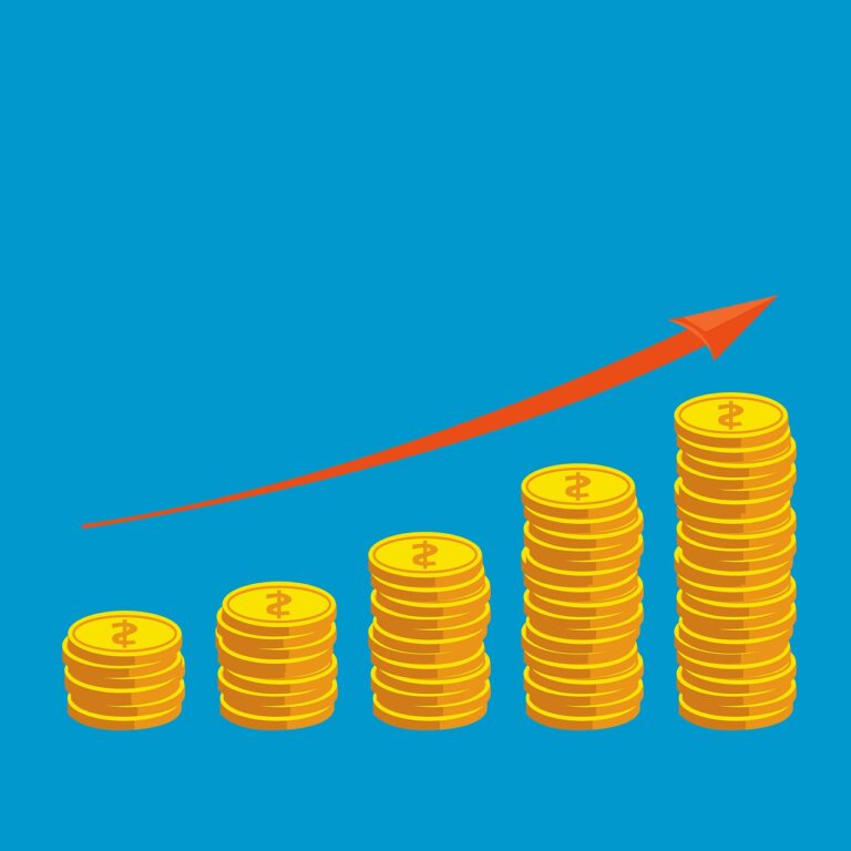 Začátky investování
